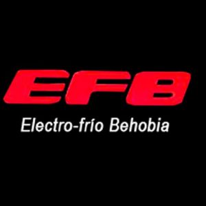 Logotipo EFB